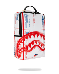 USPS SHIPPING BOX BACKPACK
