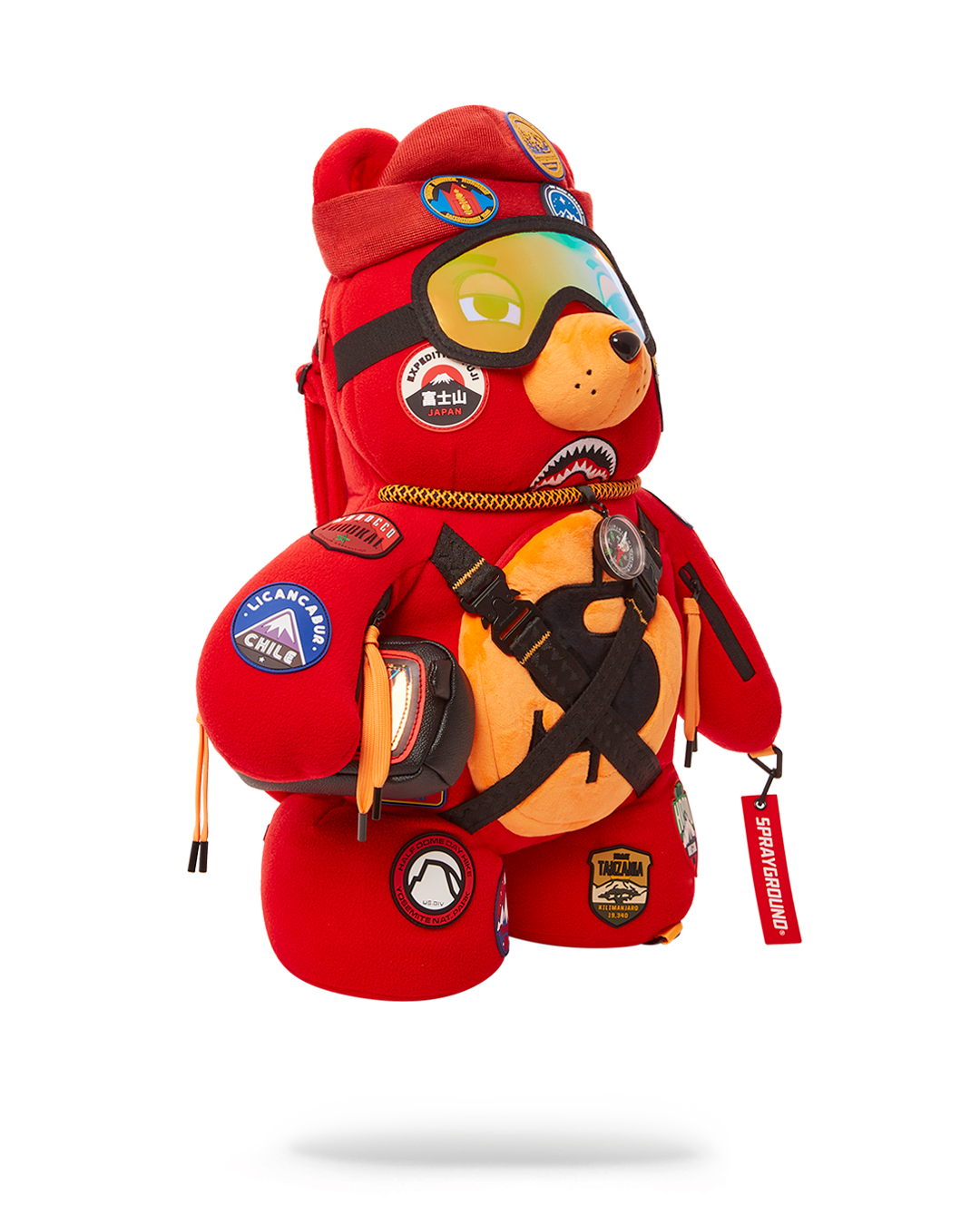 THE GLOBAL EXPEDITION MONEYBEAR TEDDYBEAR BACKPACK
